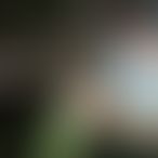 Soleil17, Une femme, 31 ans, La Colle (2)