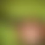 Claire M, Une femme, 40 ans, Larvotto (2)